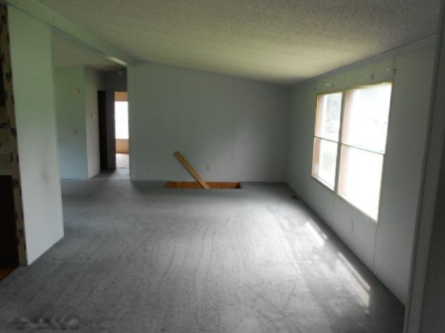 4730 Belding Road Northeast Belding, MI 48809 - Photo 8 of 9 Additional Photo