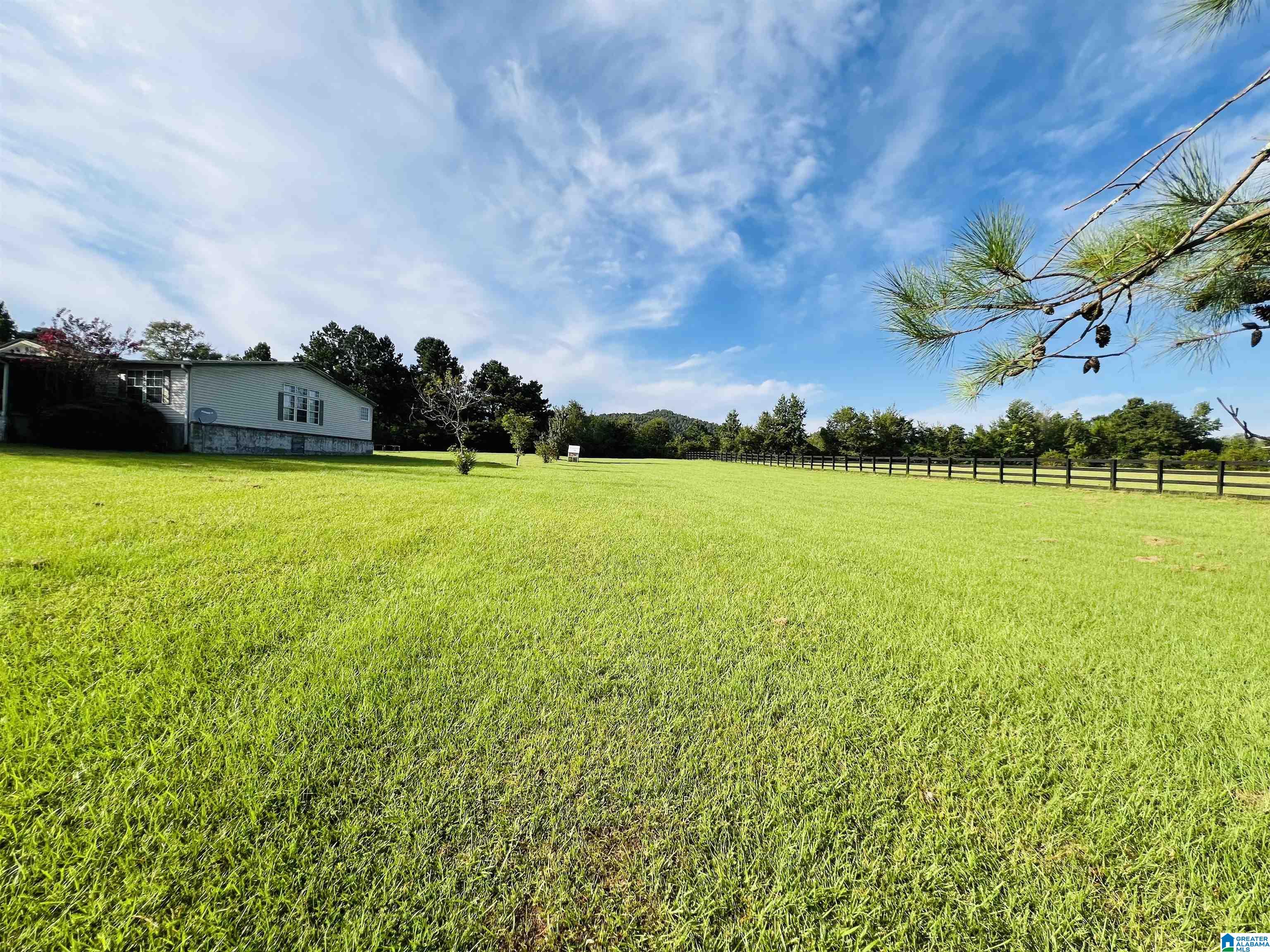 70 Armstrong Road Ashville, AL 35953 - Photo 11 of 67