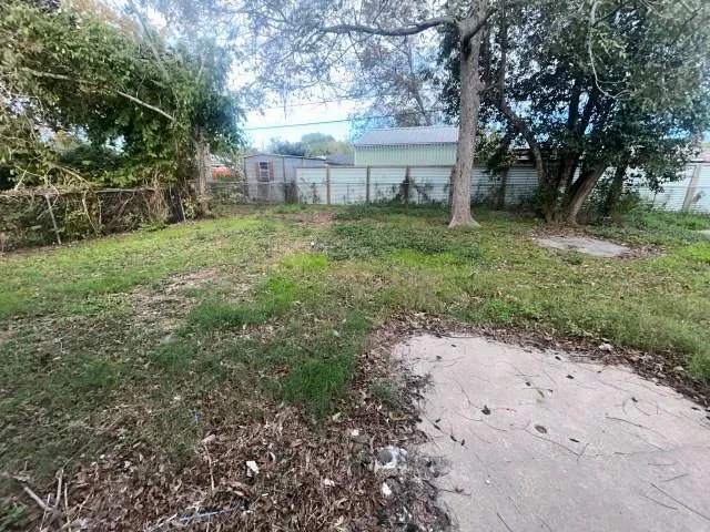 a view of a backyard with a tree