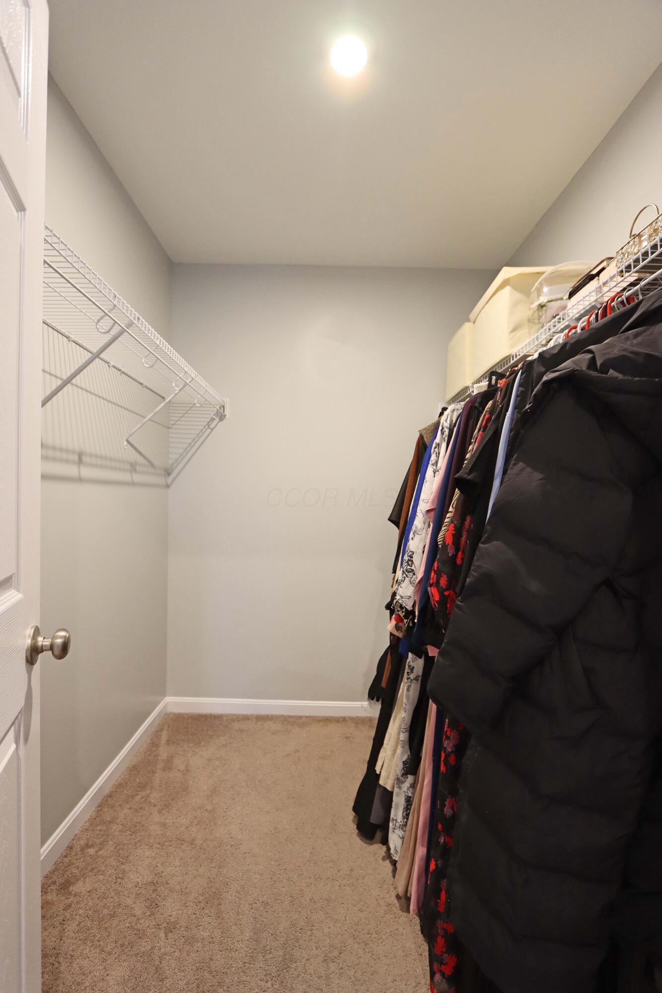 231 Harness Way Delaware, OH 43015 - Photo 50 of 60