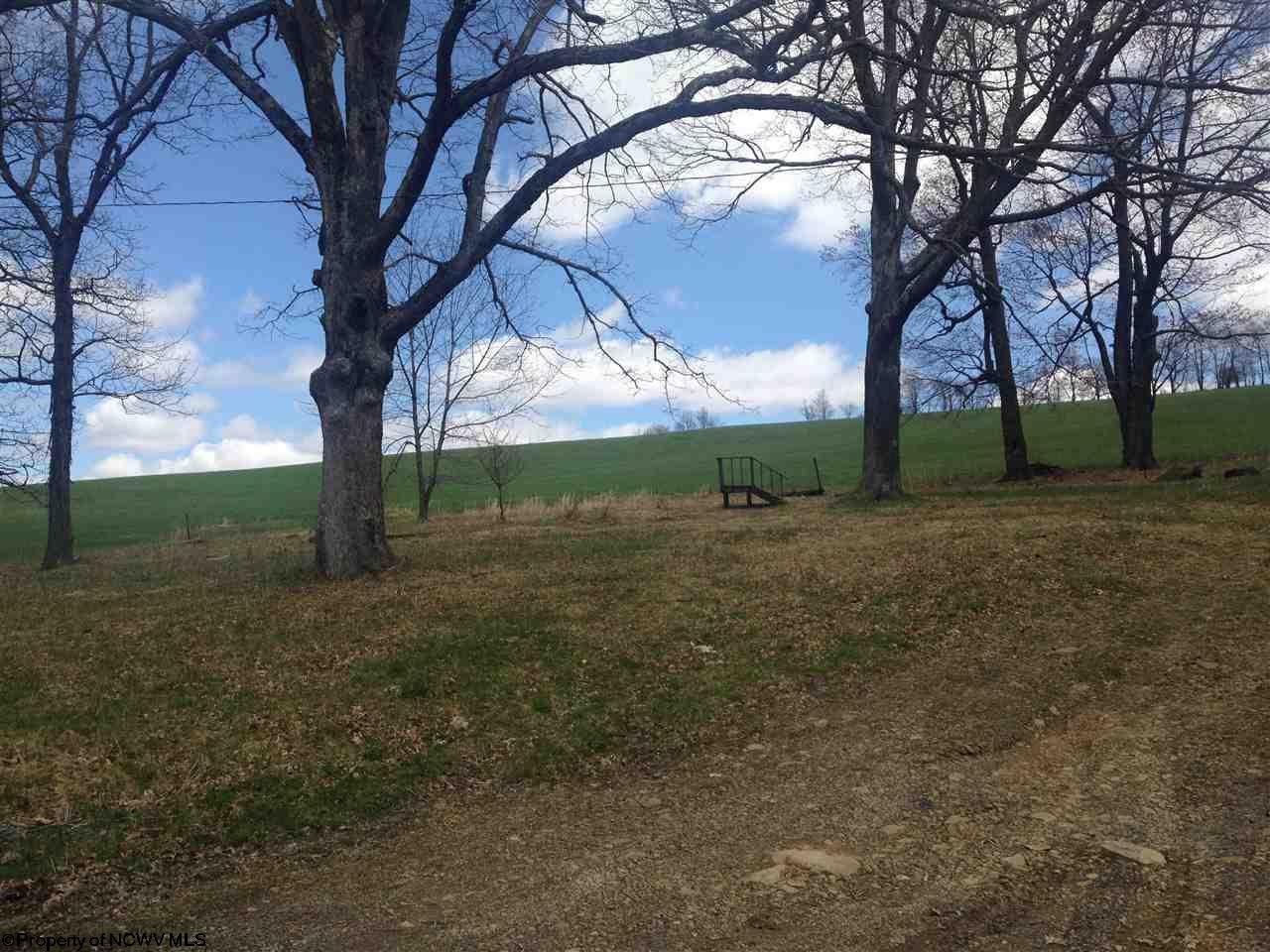 3398 Spruce Run Road Terra Alta, WV 26764 - Photo 2 of 19 Gallery Image 2