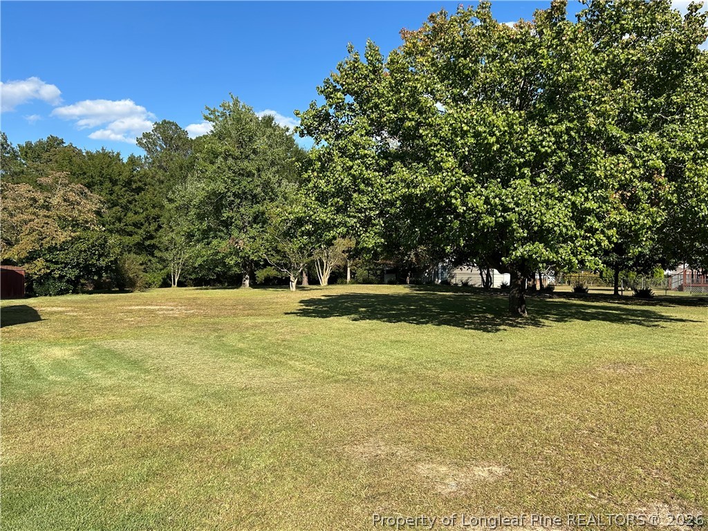 754 Horne Road Rowland, NC 28383 - Photo 13 of 13 Extra Lot .45 acre