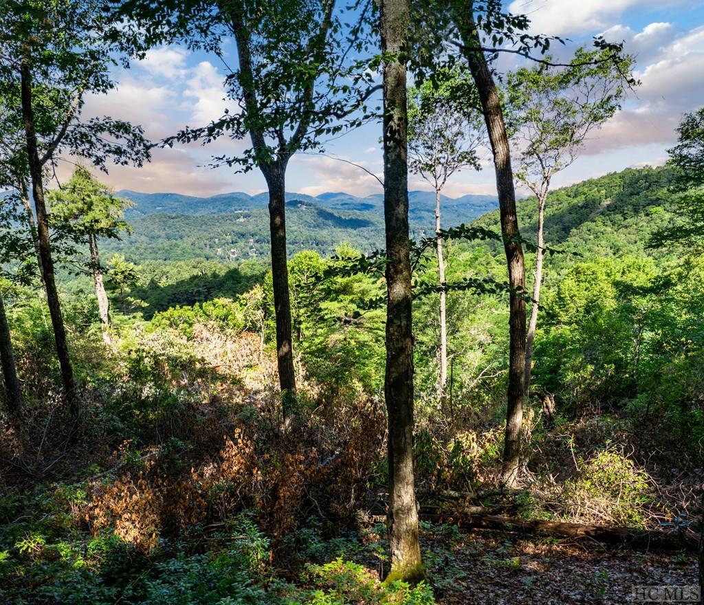 Lot 1 Forest Ridge Road Cashiers, NC 28717 - Photo 1 of 17 Gallery Image 1