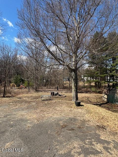 3472 Carman Road Schenectady, NY 12303 - Photo 22 of 23 IMG_7493