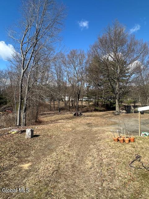 3472 Carman Road Schenectady, NY 12303 - Photo 23 of 23 IMG_7496