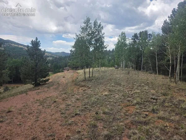 $39,000 | 1124 Yorktown Road, Cripple Creek, CO 80813