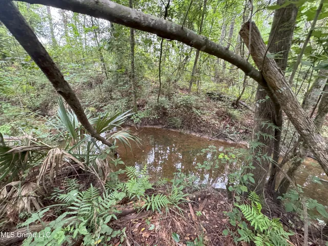 $61,490 | 32505 Chapel Pine Drive, Independence, LA 70443