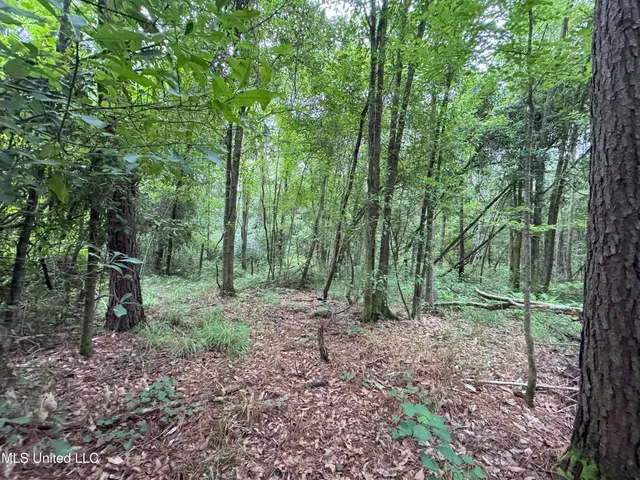 $61,490 | 32505 Chapel Pine Drive, Independence, LA 70443