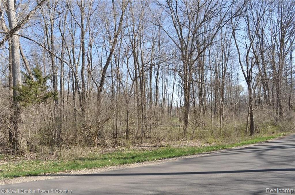 0 Sarah Pinckney, MI 48169 - Photo 15 of 24 Gallery Image 15