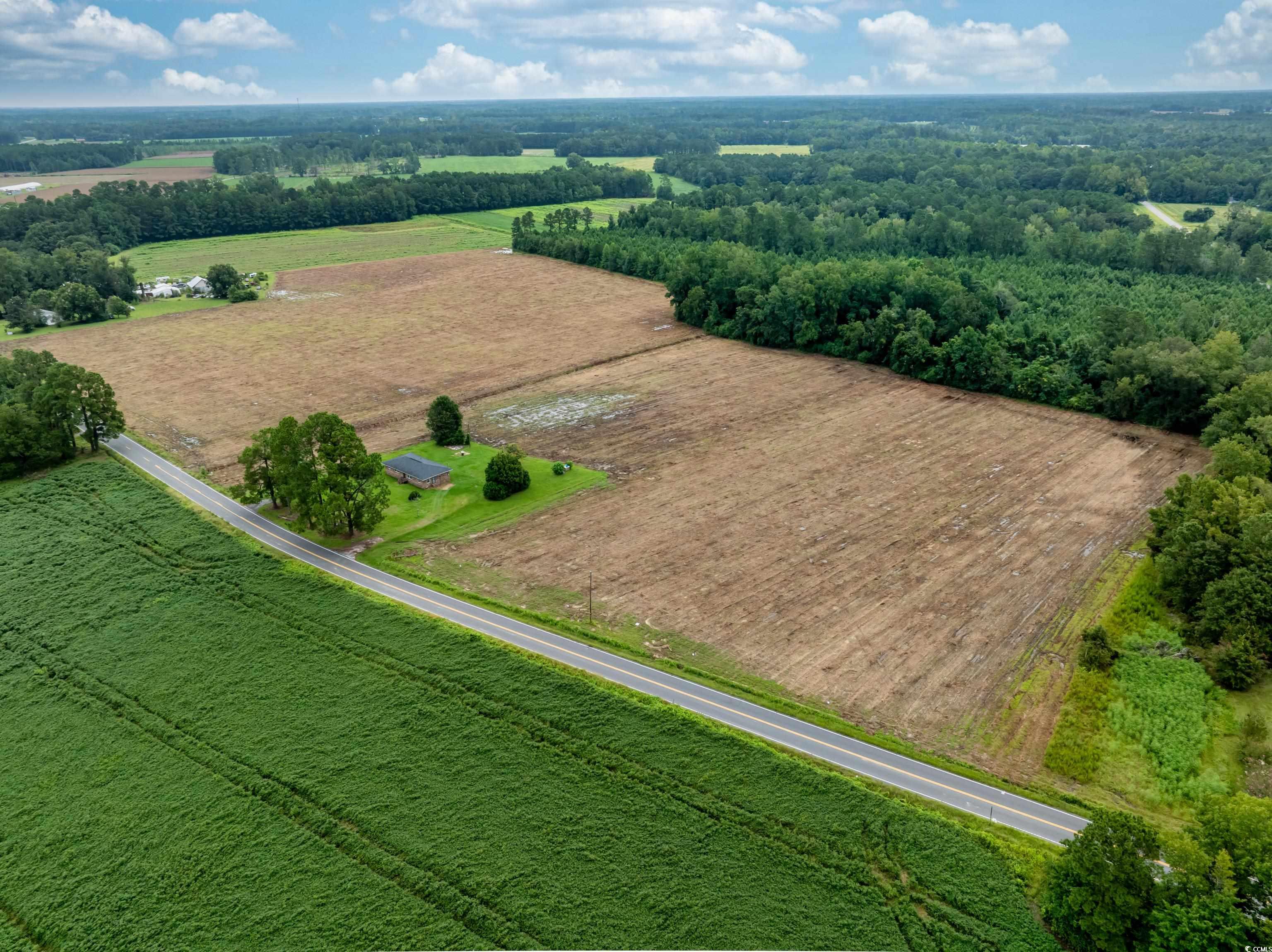 Tbd Lot B2 Tbd Road Nichols, SC 29581 - Photo 3 of 6 Gallery Image 3