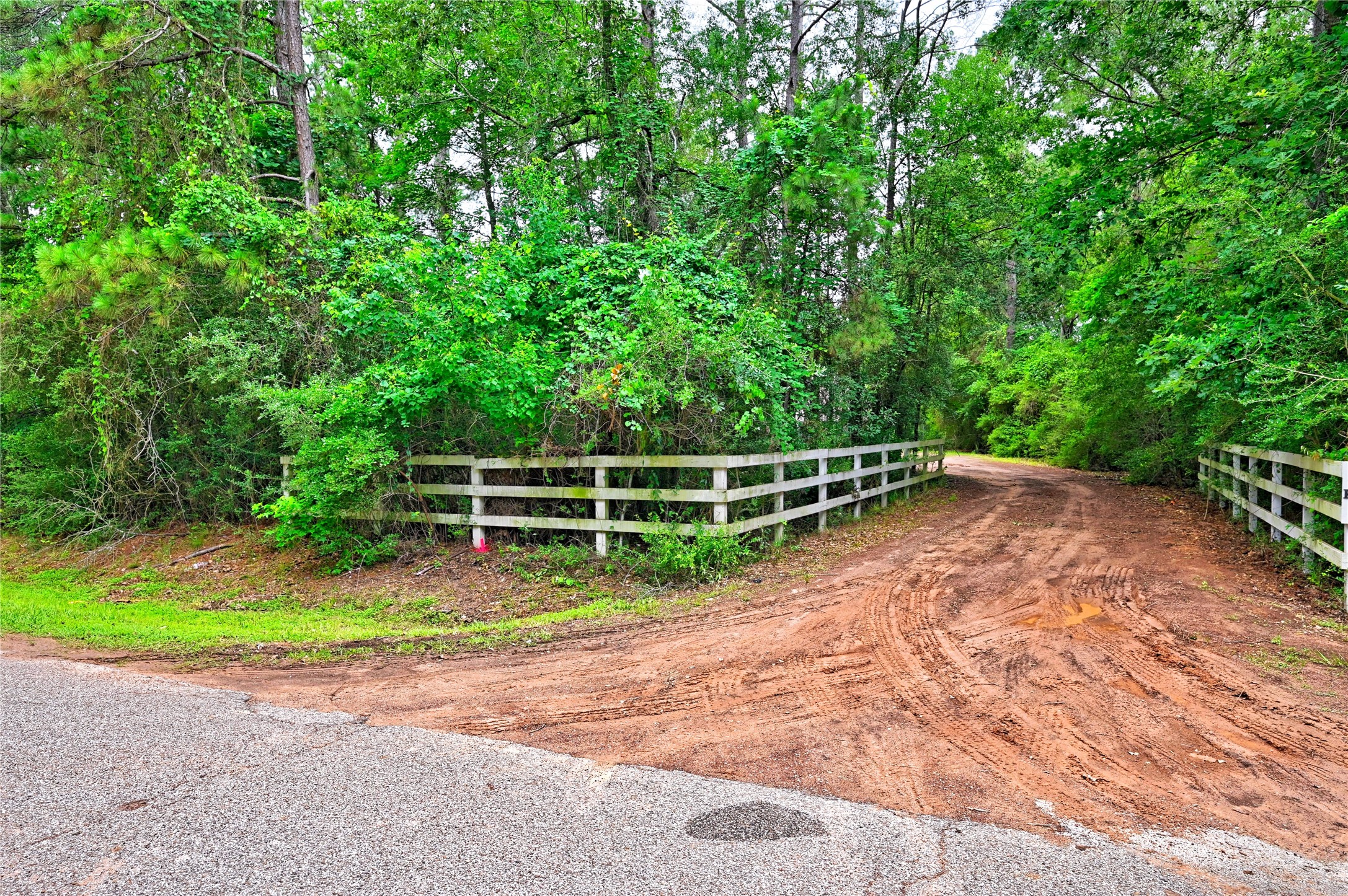 6410 Ranch Park Road Magnolia, TX 77354 - Photo 2 of 8