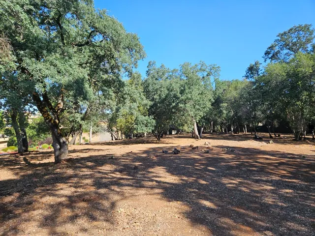 a view of road and trees