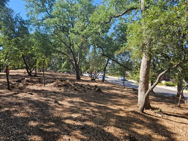 a view of outdoor space with trees