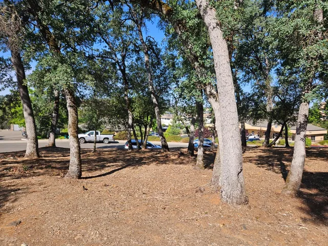 a view of road with trees