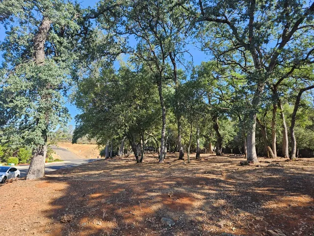 a view of road with trees