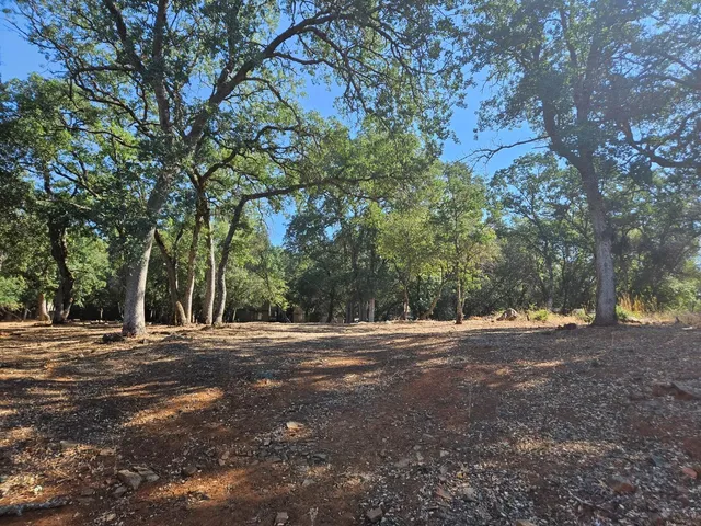 a view of dirt field and trees