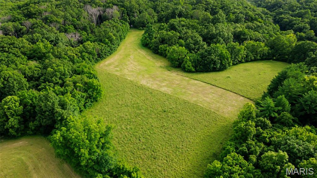 575 Schleeper Hollow Road Hardin, IL 62047 - Photo 10 of 61