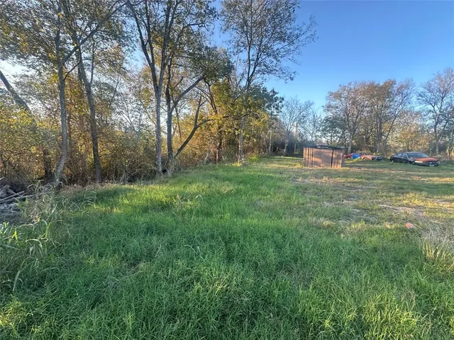 a view of a big yard with plants and large trees
