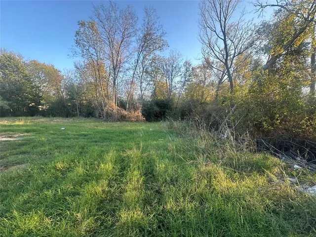 a view of a grassy field with trees in the background