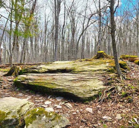 $489,000 | 150 Hartwood Drive, Smallwood, NY 12778