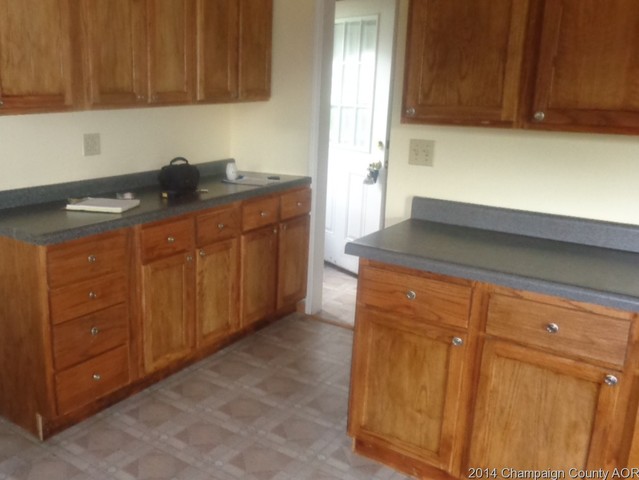 1519 Collier Avenue Rantoul, IL 61866 - Photo 5 of 15 a kitchen with granite countertop cabinets and sink