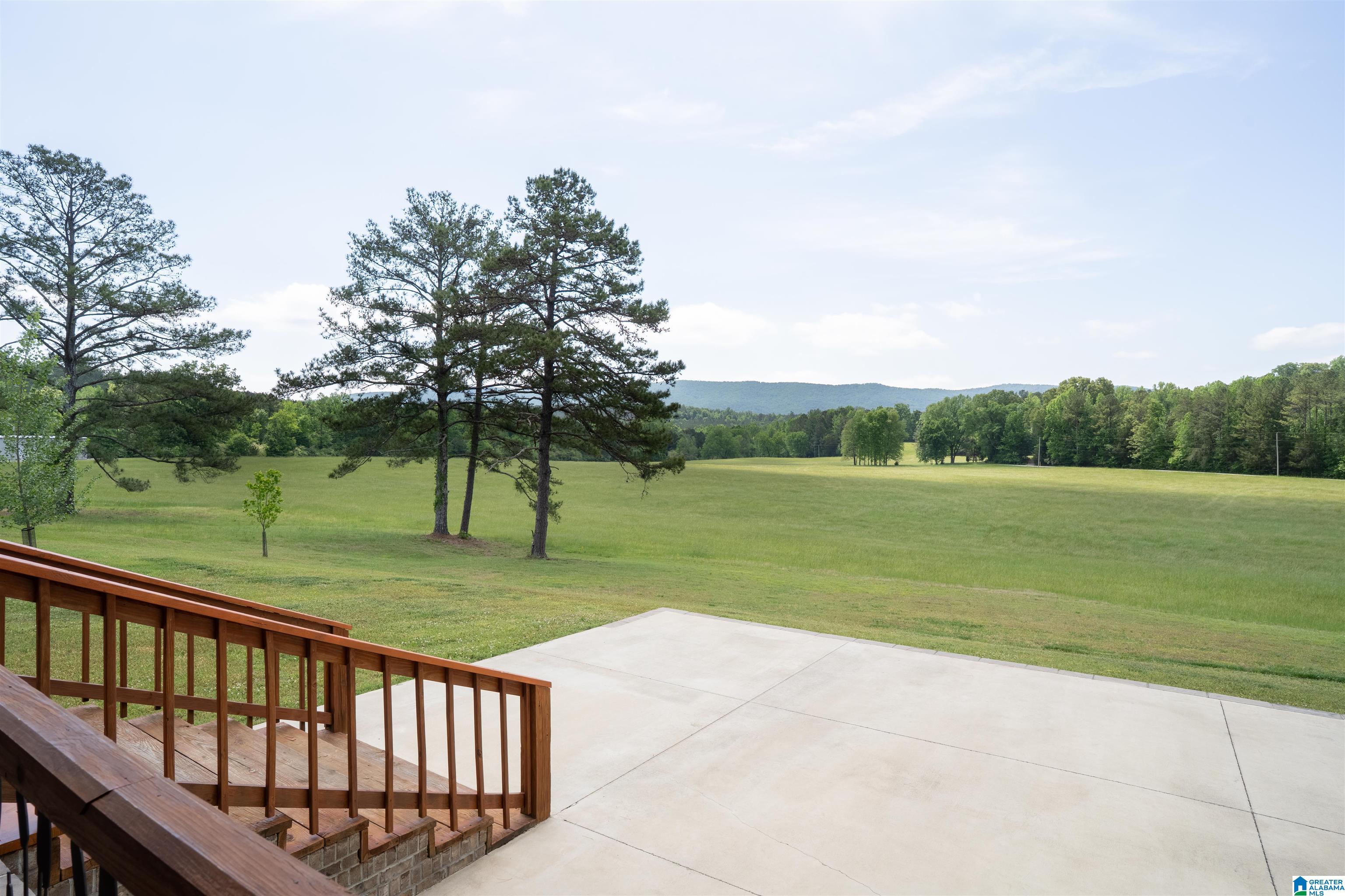 2741 Possum Trot Road Piedmont, AL 36272 - Photo 34 of 62