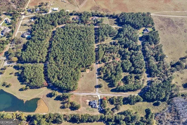 $40,000 | Lot 42 Sweet Magnolia Circle, Dublin, GA 31021