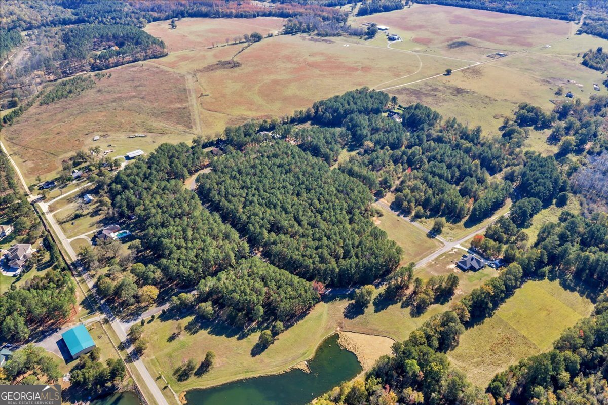 Lot 42 Sweet Magnolia Circle Dublin, GA 31021 - Photo 17 of 23 a view of a lot of trees and houses