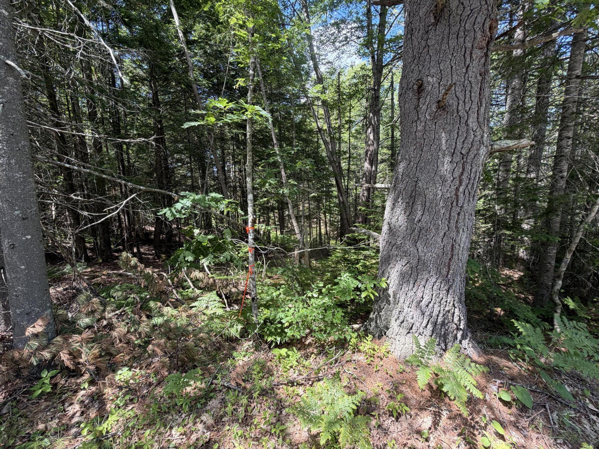 Lot R05129 Polly Clark Brook Wiscasset, ME 04578 - Photo 4 of 9 Lot R05129 Polly Clark Brook, Wiscasset