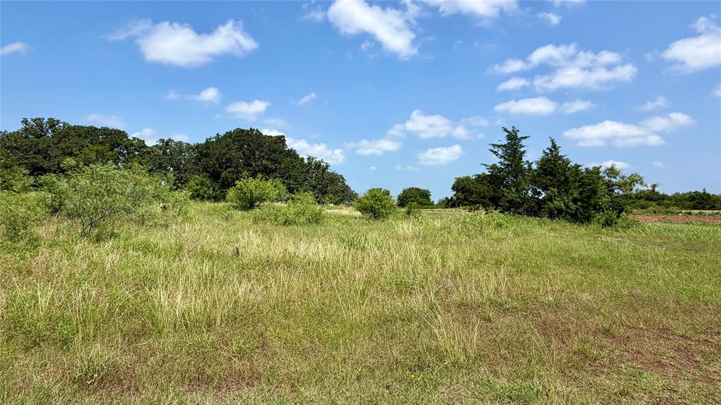 207 Hill Road Nocona, TX 76255 - Photo 8 of 16 Gallery Image 8
