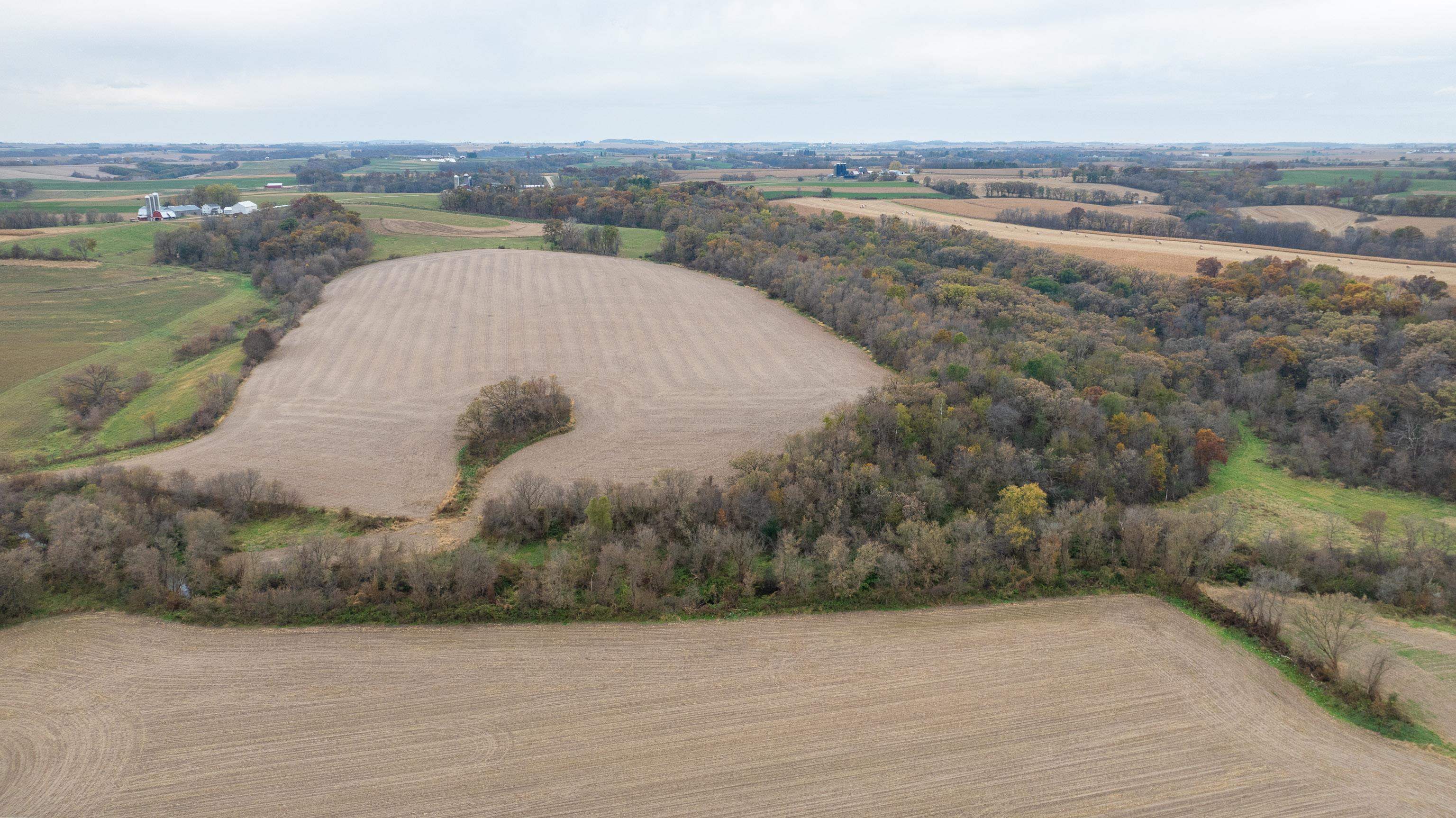 8236 County Road K Gratiot, WI 53541 - Photo 8 of 59