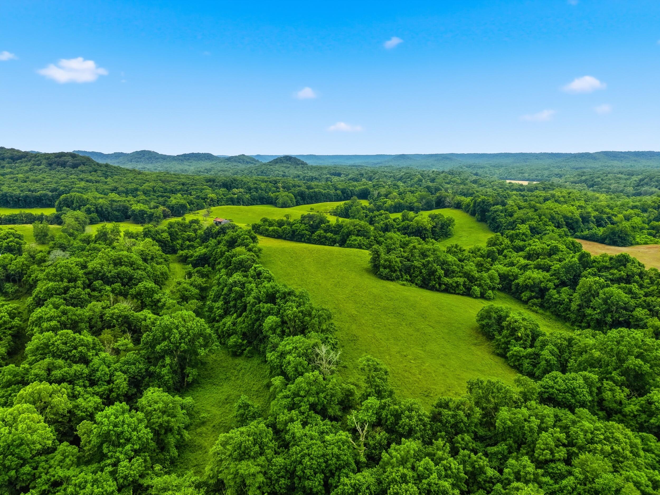 17412 Forkland Road Gravel Switch, KY 40328 - Photo 54 of 63 Forkland_drone_013