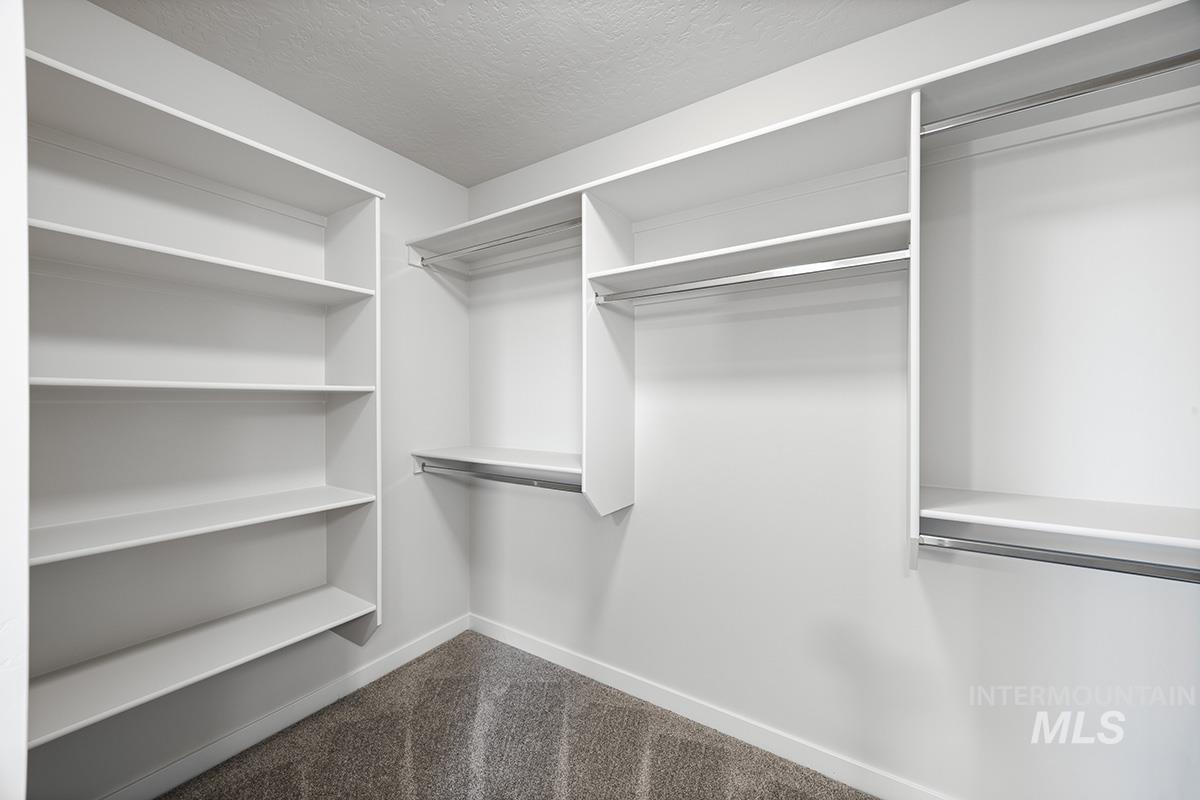 283 West Norwich Street Meridian, ID 83642 - Photo 14 of 25 Spacious closet with dark carpet
