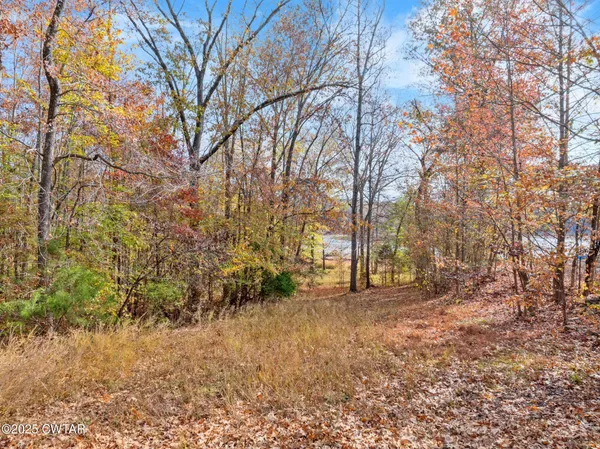 a view of outdoor space and trees