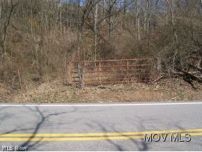 0 Garfield Road Palestine, WV 26160 - Photo 4 of 7