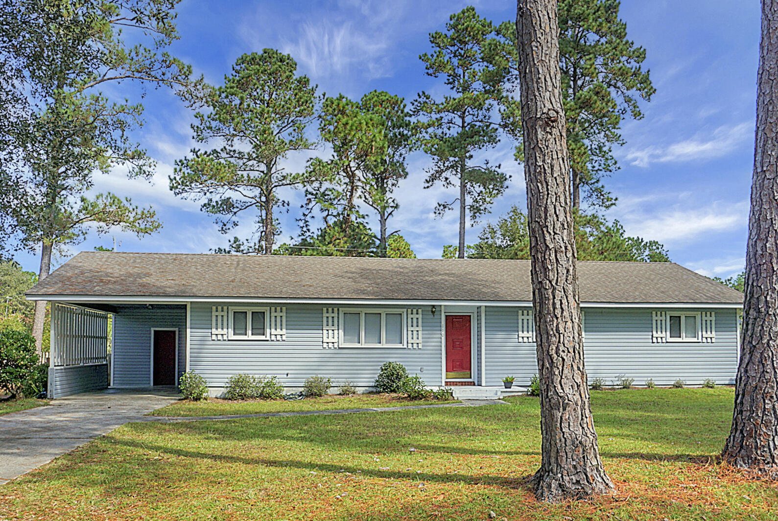 110 Auld Brass Road Walterboro, SC 29488 - Photo 3 of 28 DSC04830