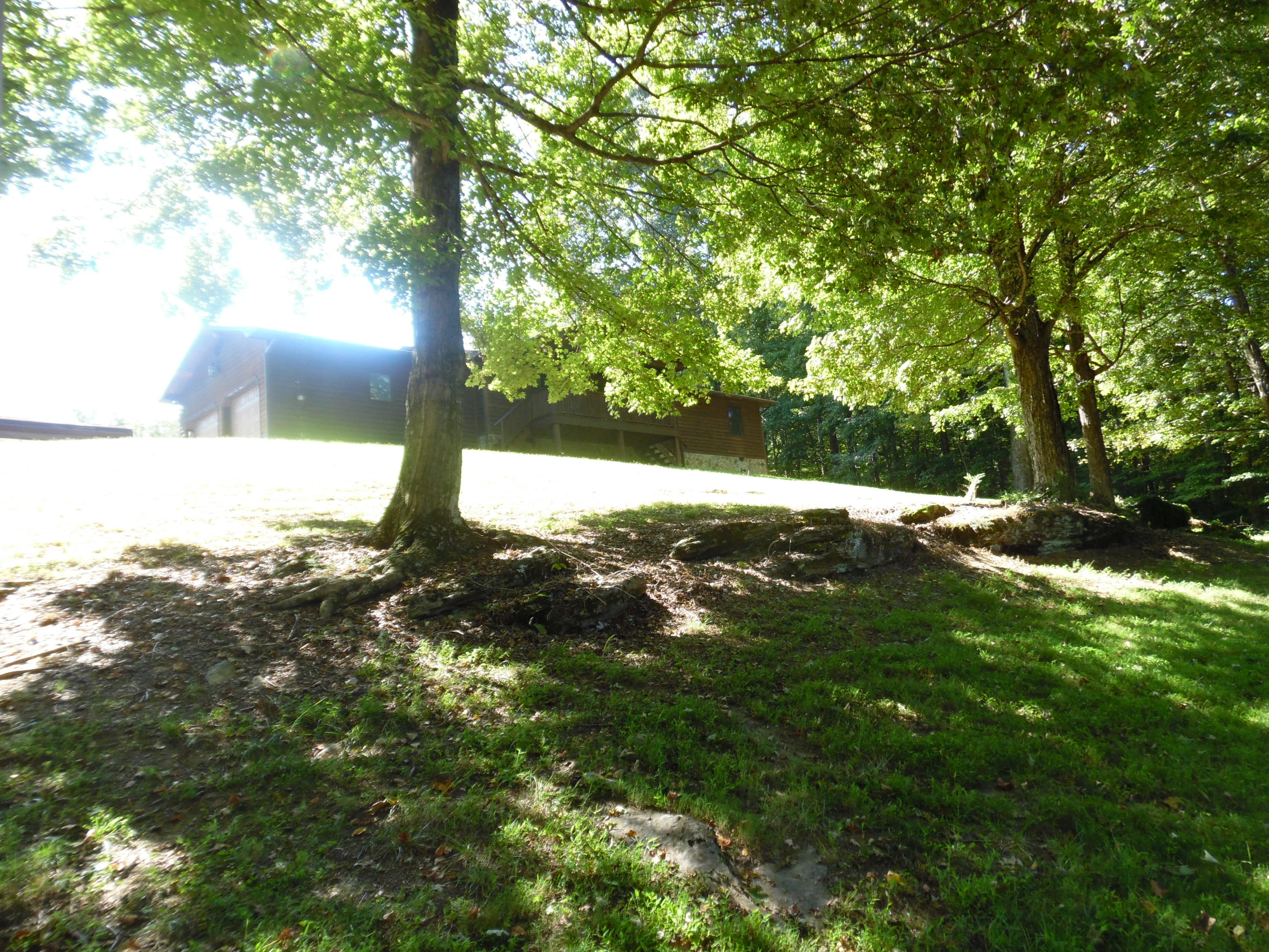 1425 Sulphur Springs Road Clinton, TN 37716 - Photo 10 of 37 Going up winding driveway to Home