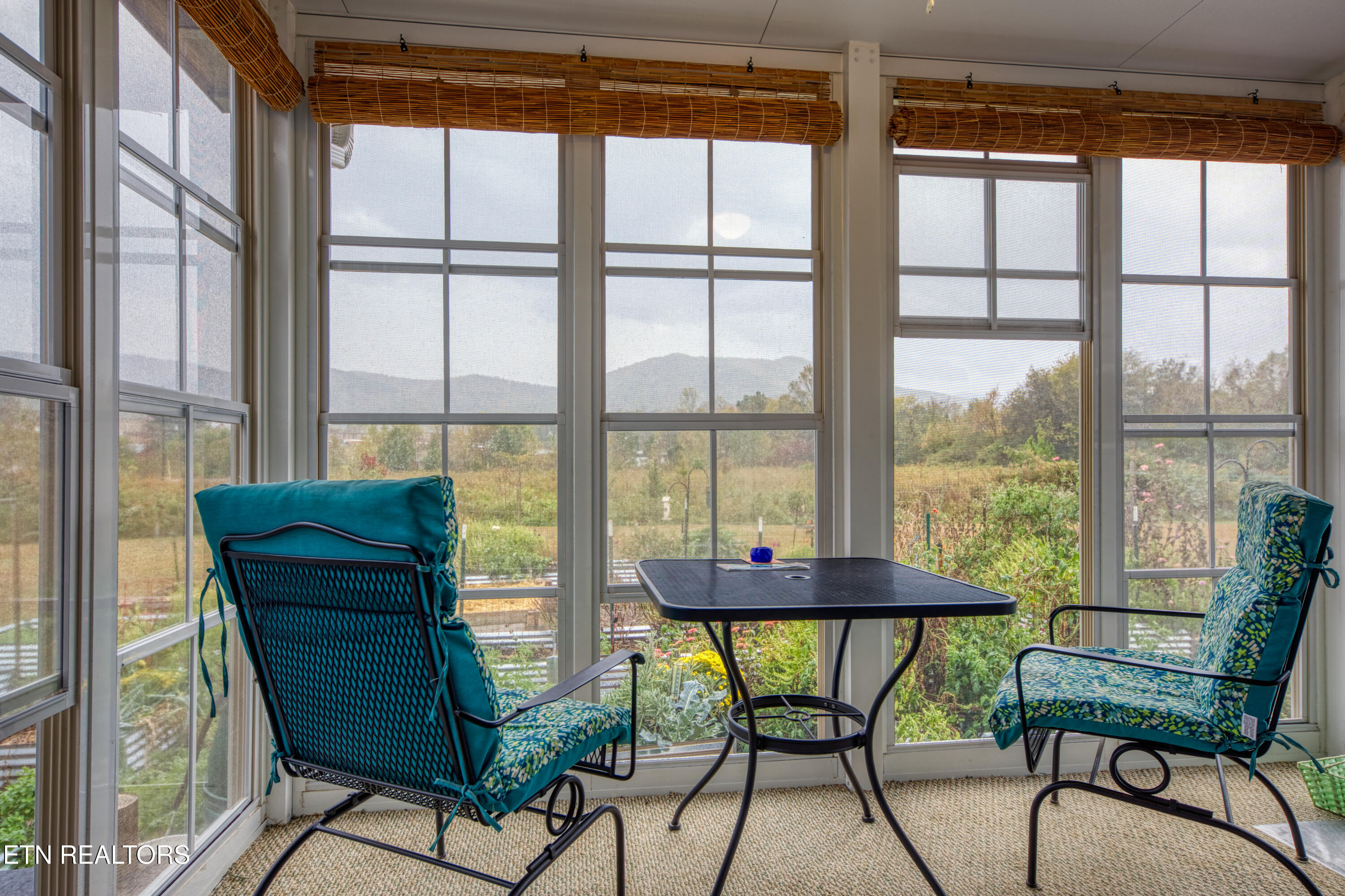 3143 Webbing Way Cosby, TN 37722 - Photo 20 of 31 Sunroom w/mountain view