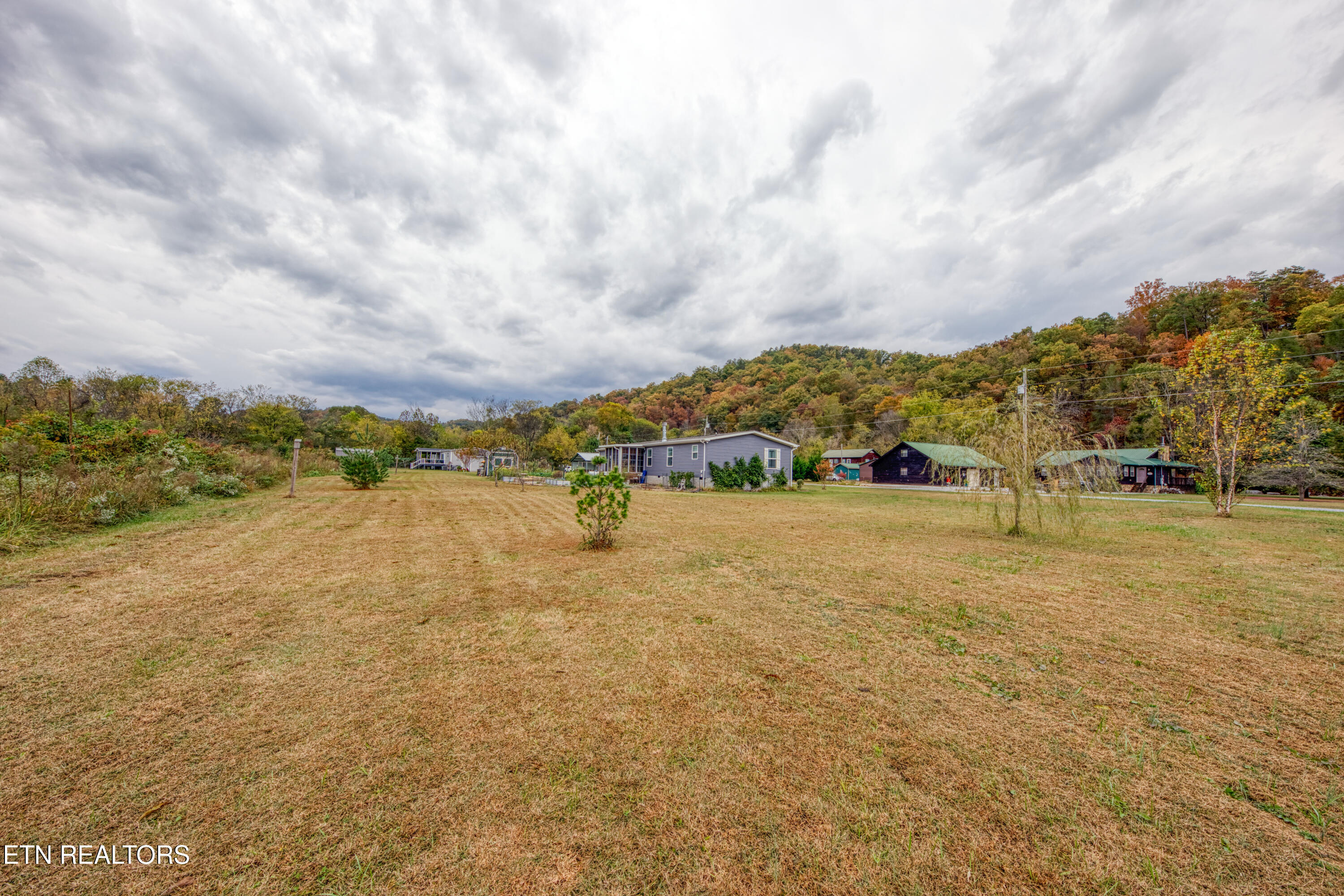 3143 Webbing Way Cosby, TN 37722 - Photo 24 of 31 Back yard