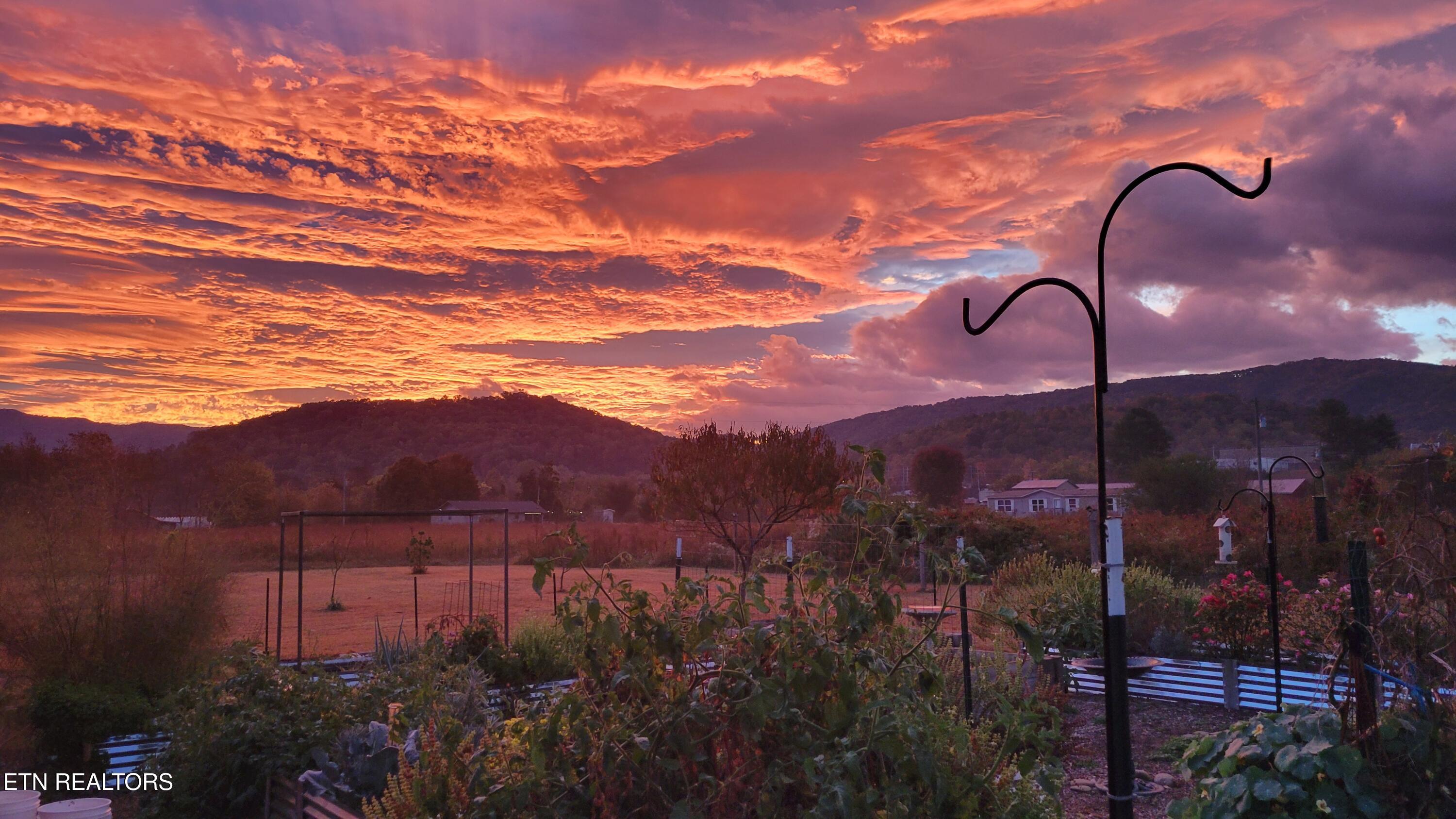 3143 Webbing Way Cosby, TN 37722 - Photo 29 of 31 Sunrise pic