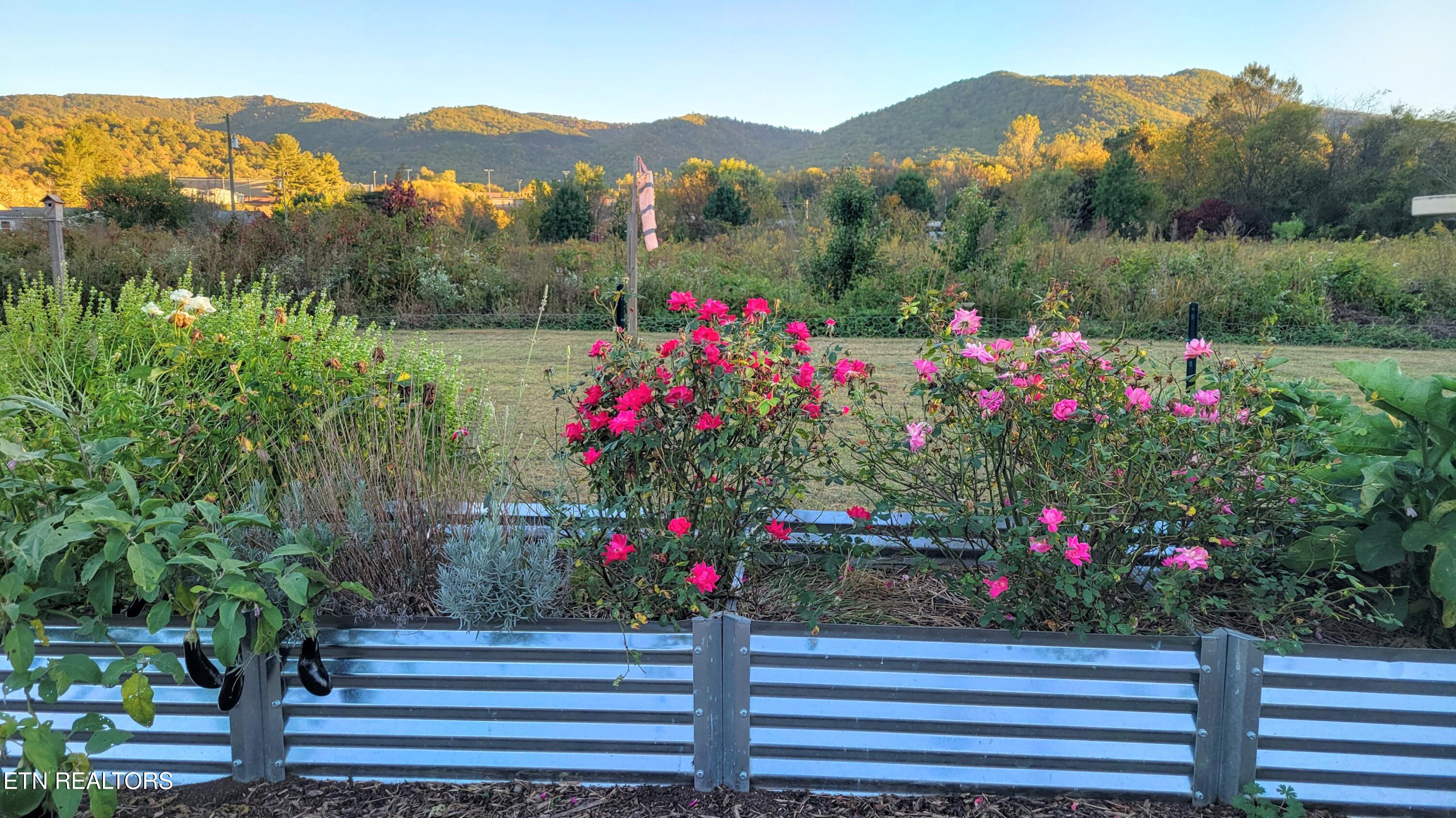 3143 Webbing Way Cosby, TN 37722 - Photo 30 of 31 Garden with moutain view