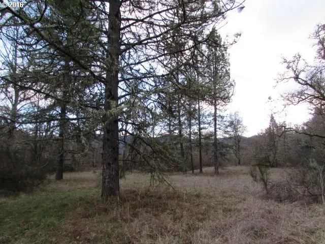 $435,900 | 4359 Canyonville-Riddle Road, Riddle, OR 97469