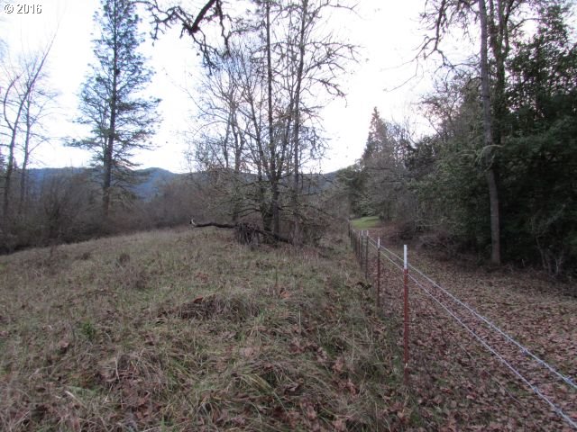 4359 Canyonville-Riddle Road Riddle, OR 97469 - Photo 12 of 32