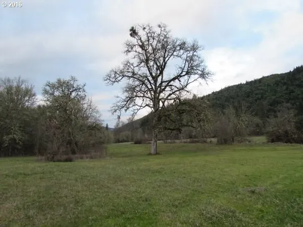 a view of outdoor space with green field and trees