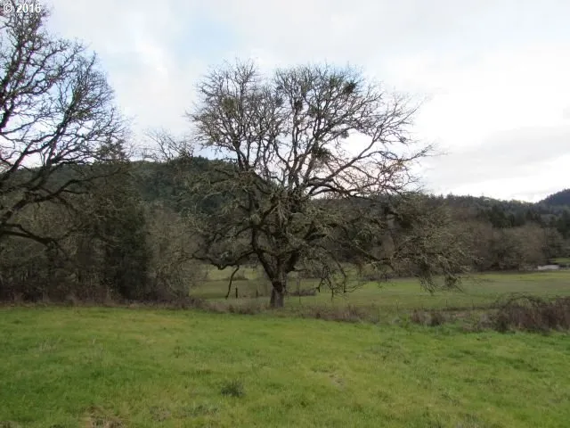 $435,900 | 4359 Canyonville-Riddle Road, Riddle, OR 97469