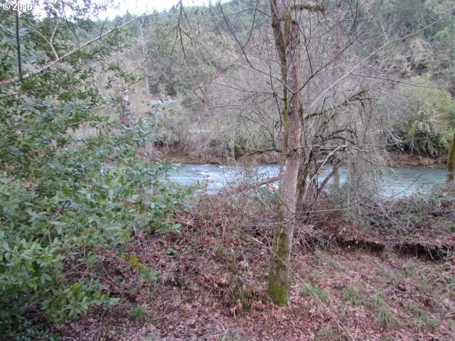 4359 Canyonville-Riddle Road Riddle, OR 97469 - Photo 16 of 32