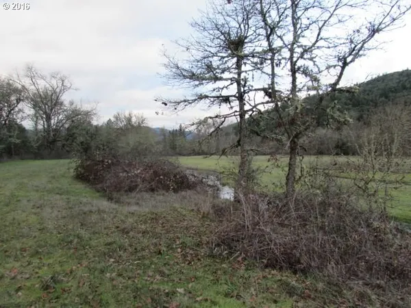 a view of a yard with a tree