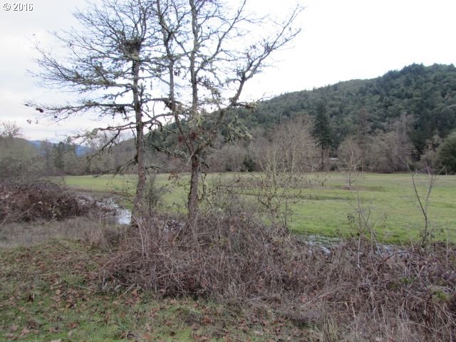 4359 Canyonville-Riddle Road Riddle, OR 97469 - Photo 19 of 32
