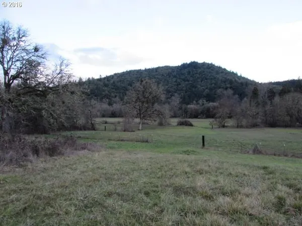 a view of an outdoor space with green field and trees