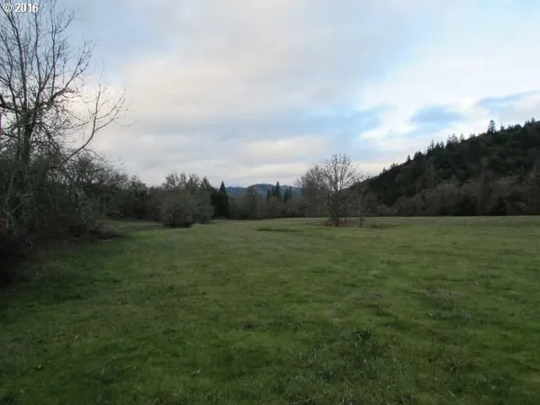 a view of an outdoor space and a yard